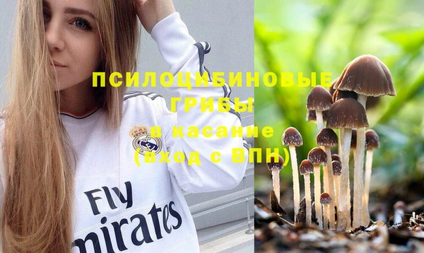 прущая мука Аркадак