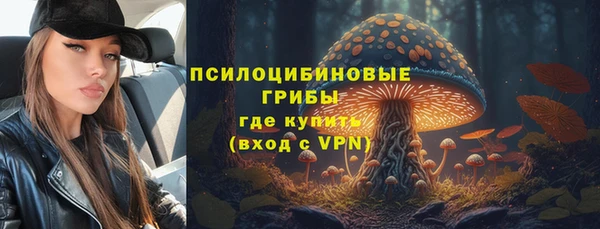 МДПВ Армянск