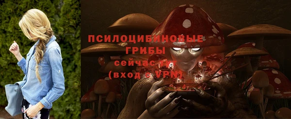 а пвп мука Арсеньев