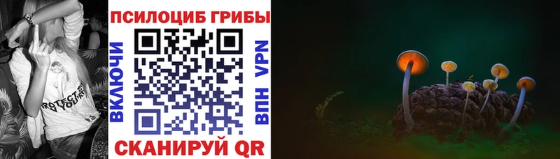 Псилоцибиновые грибы Psilocybine cubensis  Ликино-Дулёво 